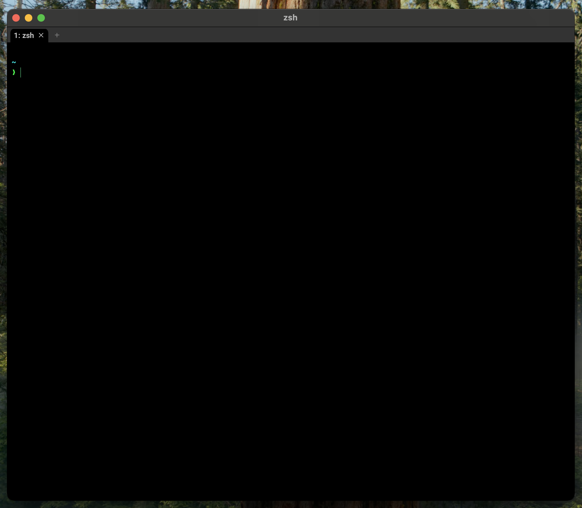 Una imagen de una instancia de WezTerm con su configuración default activa
